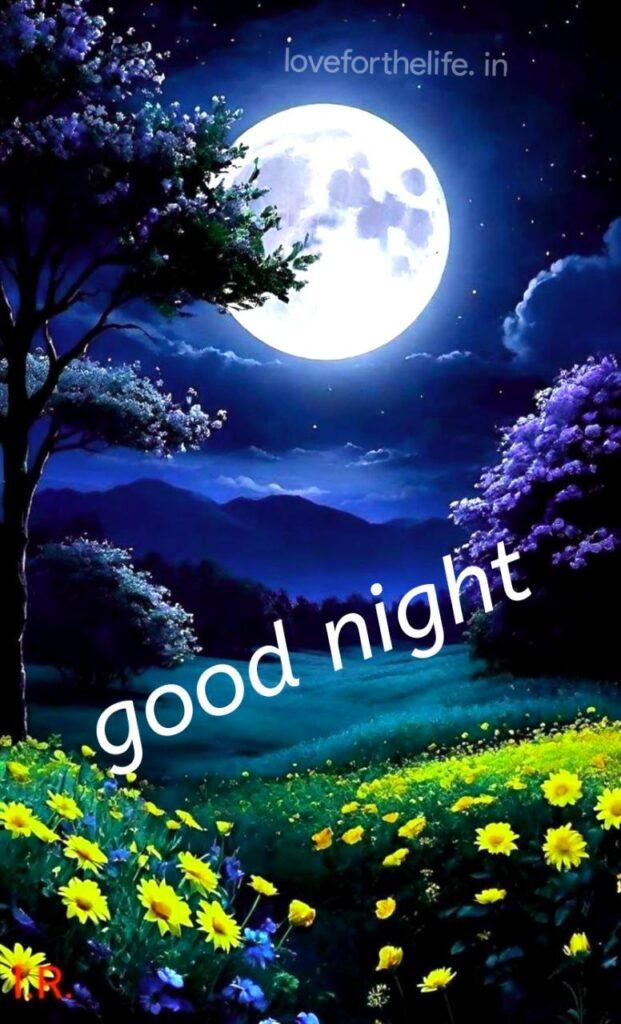 good morning